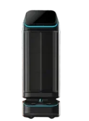 T3